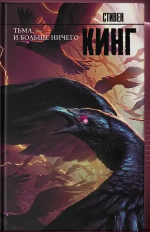 Обложка книги Тьма и больше ничего